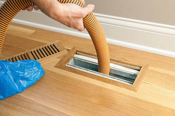 Best Air Duct Mold Removal  in Cedarburg, WI